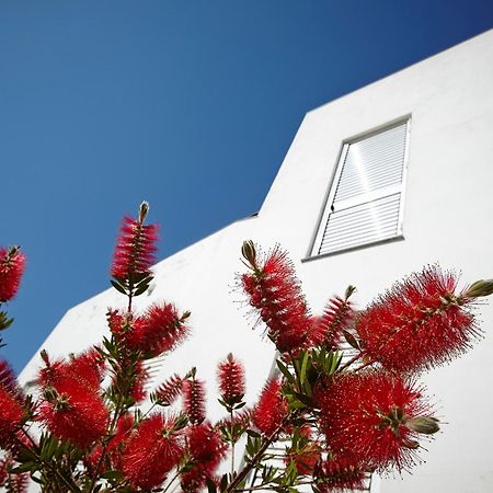Canvas Apartments&Lofts Cadaqués Exteriör bild