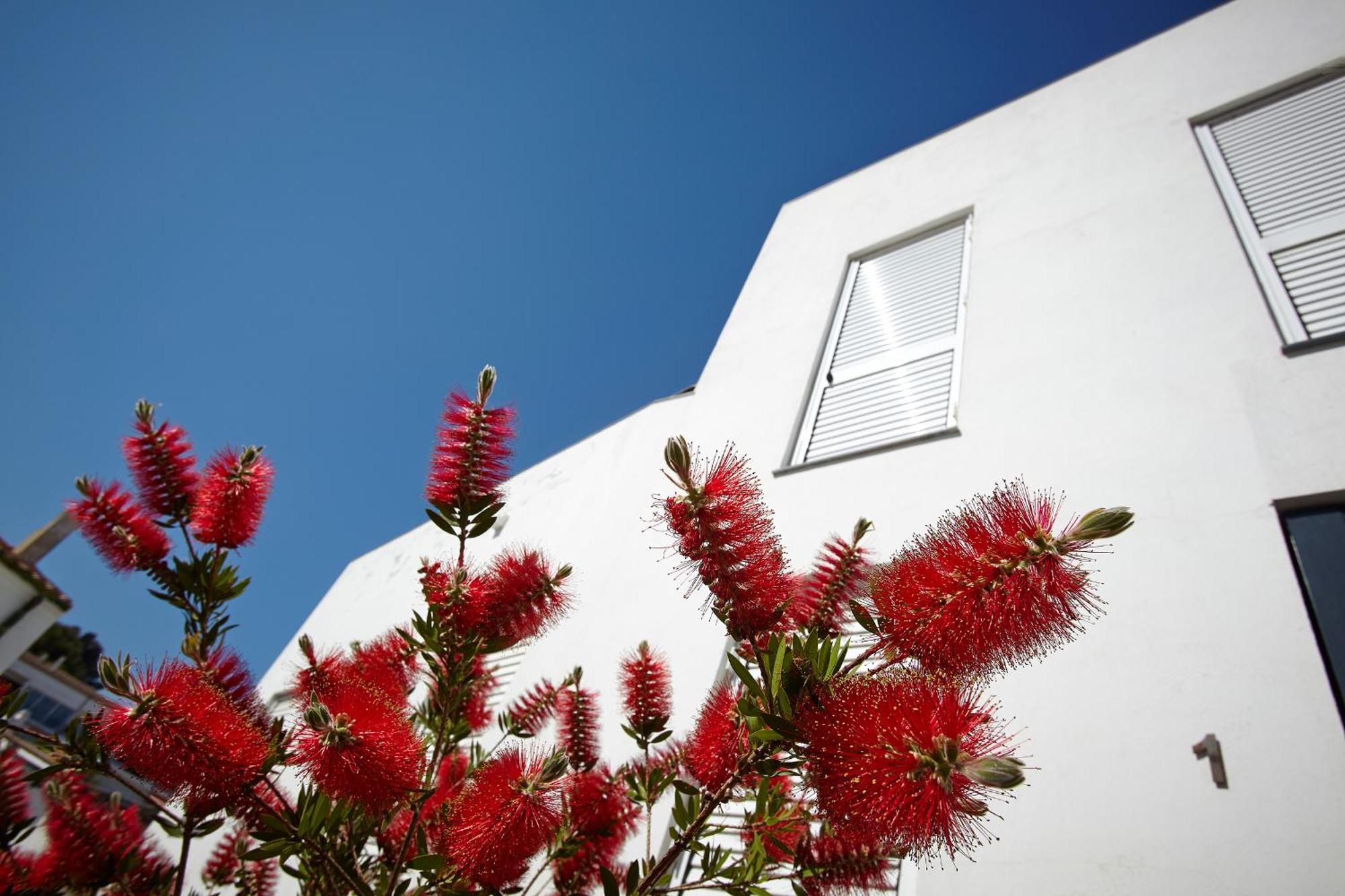Canvas Apartments&Lofts Cadaqués Exteriör bild